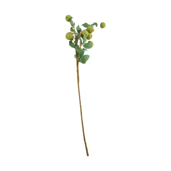 Appeltak