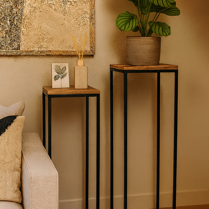 Plantenstandaard set van 2