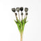 Kunsttulpen