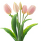 Kunsttulpen